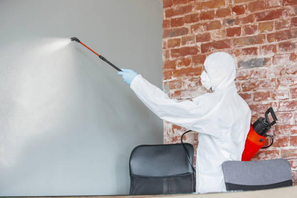 Best Mold Remediation for Healthcare Facilities  in Los Altos Hills, CA