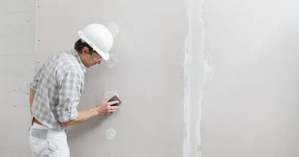  Los Altos Hills, CA Mold Removal Pros